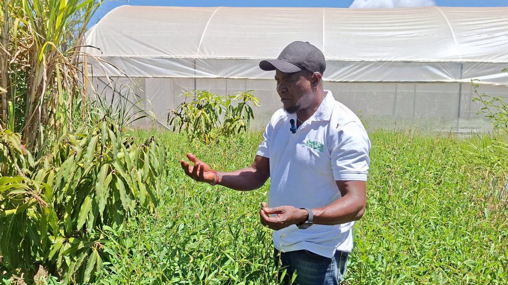 Sam Nderitu is a leading organic farmer in Kenya