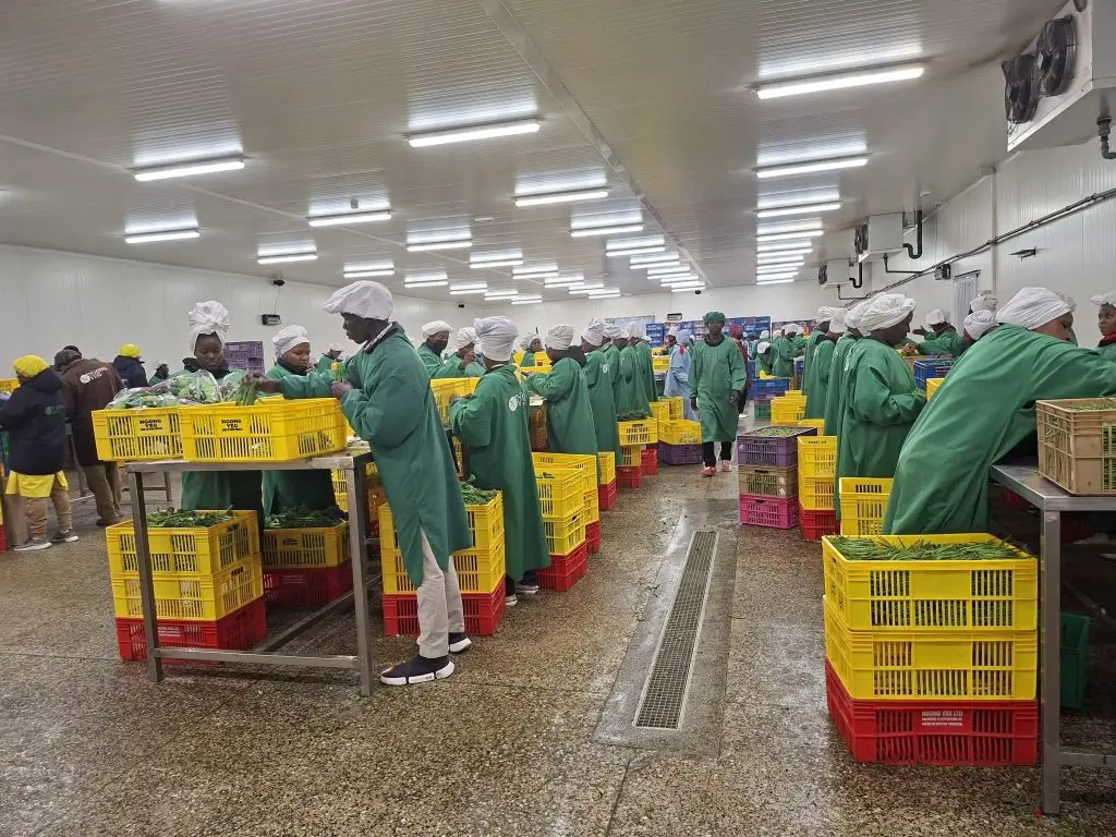 Kenyan Farmers Turn to Smart Farming and Value Addition to Fight Climate Change