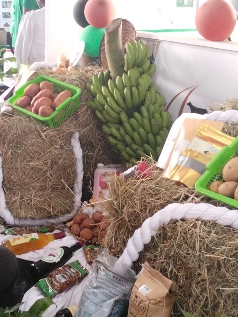 Indigenous Farming Can Strengthen Africa’s Food Security